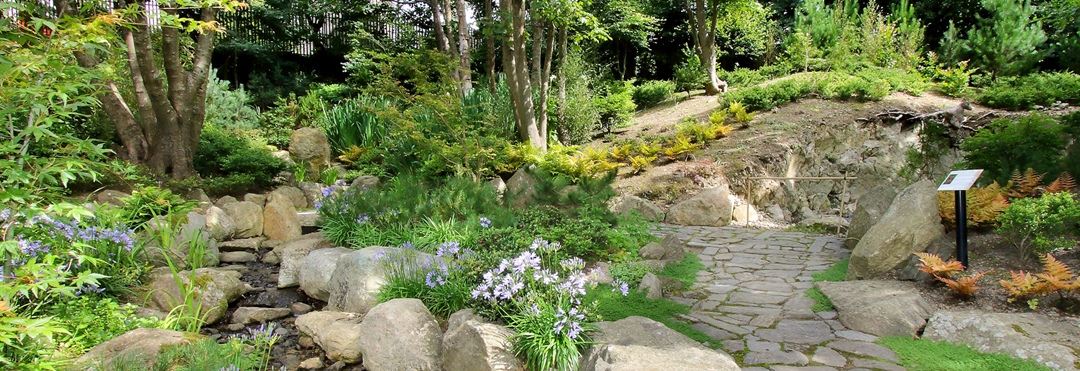 Contract Awarded for The Lafcadio Hearn Japanese Gardens